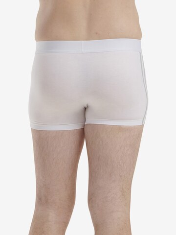 ADIDAS ORIGINALS Boxer shorts ' Comfort Flex Eco Soft ' in White