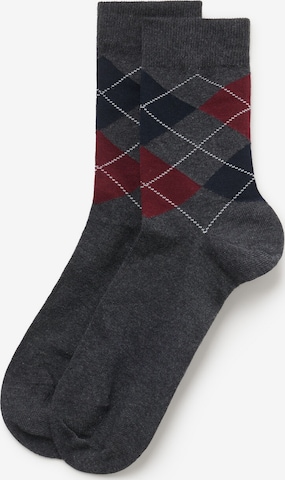 Tezenis Socks in Grey: front