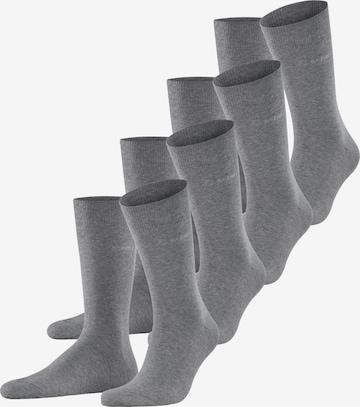 ESPRIT Socks 'Solid 4-Pack' in Grey: front