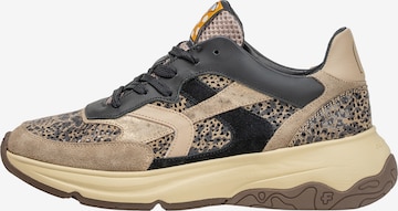 Floris van Bommel Sneaker 'Holli 01' in Grau: Vorderseite