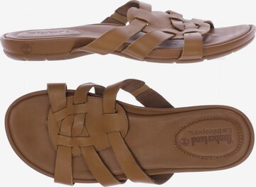 TIMBERLAND Sandals & High-Heeled Sandals in 39,5 in Brown: front