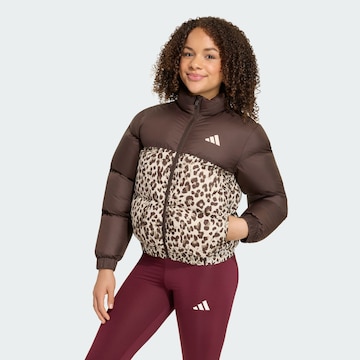 ADIDAS SPORTSWEAR - Casaco deportivo em castanho: frente