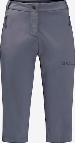 JACK WOLFSKIN Outdoor Pants 'Activate Light' in Grey: front