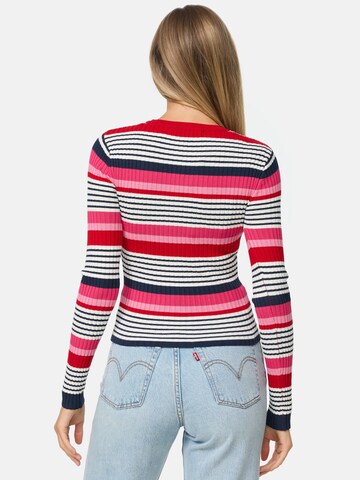 Threadbare Pullover 'Hannah' in Mischfarben
