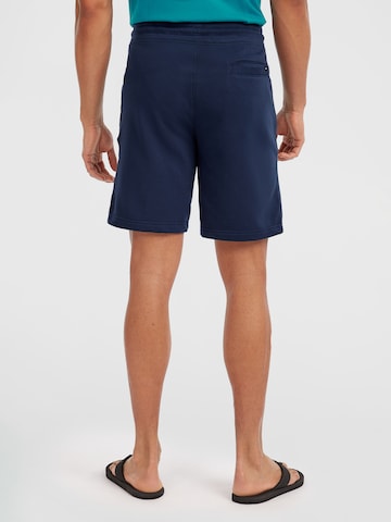 Regular Pantaloni de la O'NEILL pe albastru