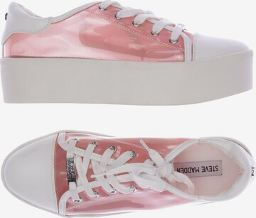 STEVE MADDEN Sneakers & Trainers in 41 in Pink: front