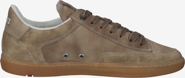 LLOYD Sneakers in Brown