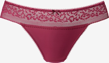 LASCANA Thong in Red: front