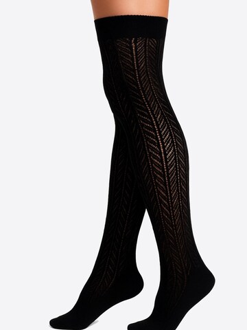 Lycille Overknee Strümpfe 'Overknees'‌‌‌‌ in Schwarz