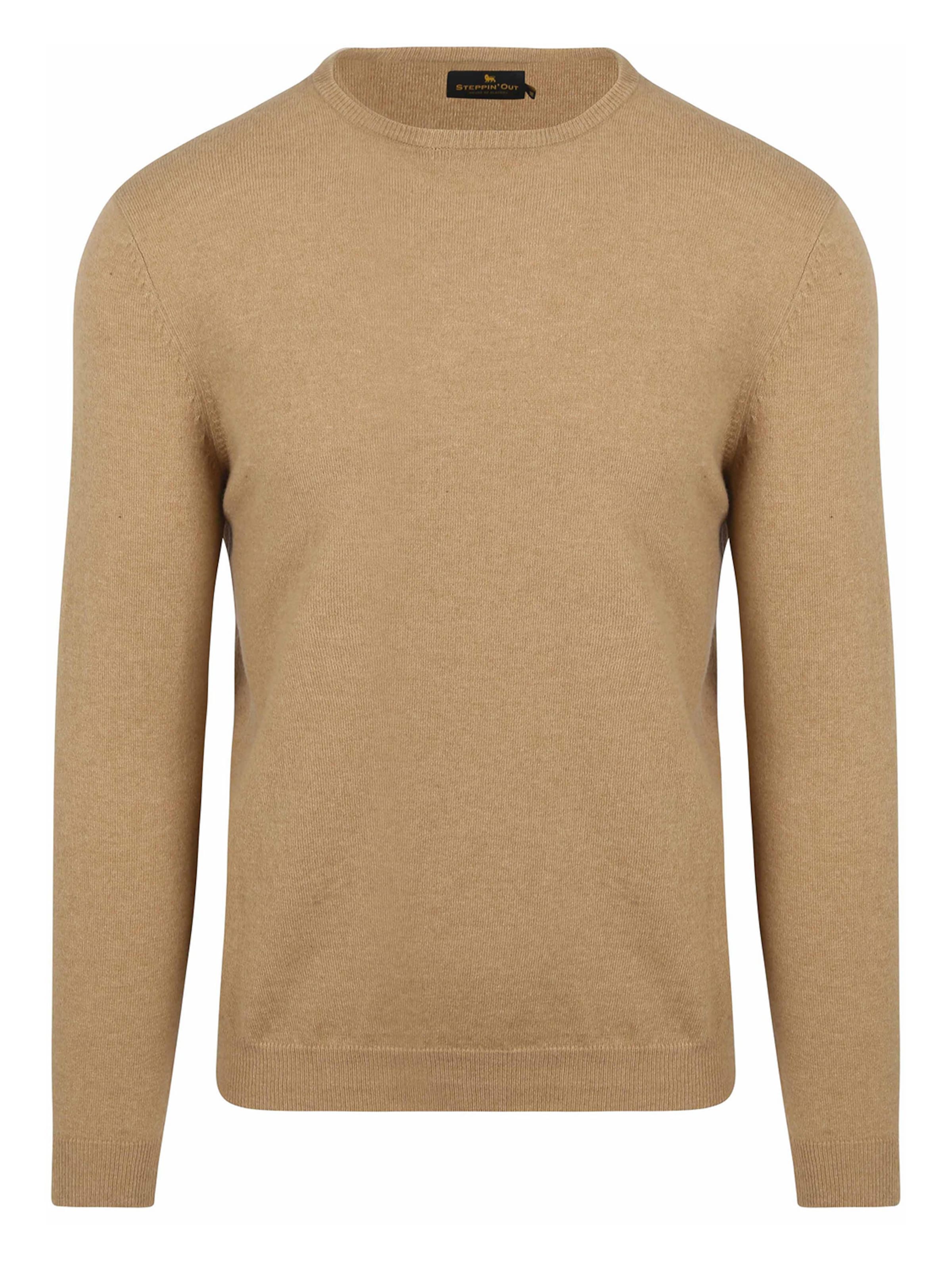 Steppin' out Pullover‌‌‌‌‌‌‌‌‌‌ in Beige: Vorderseite