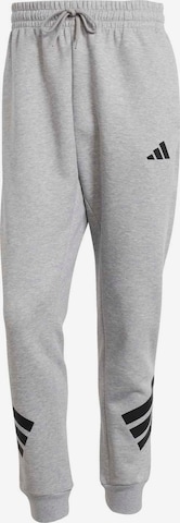 ADIDAS SPORTSWEAR Sporthose 'Future Icons' in Grau: Vorderseite