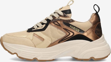 Baskets basses 'OLIVIA' Haboob en beige : devant