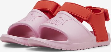 PUMA Sandals 'Divecat v2 Injex' in Pink