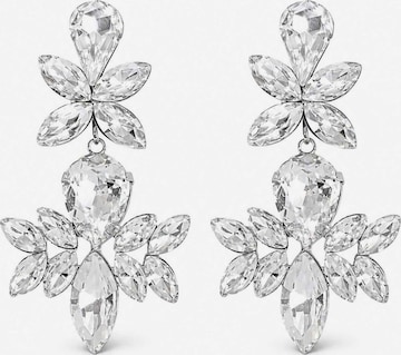 RteRmeNaušnice 'Trystan Crystal Drop Earrings' - srebro boja: prednji dio