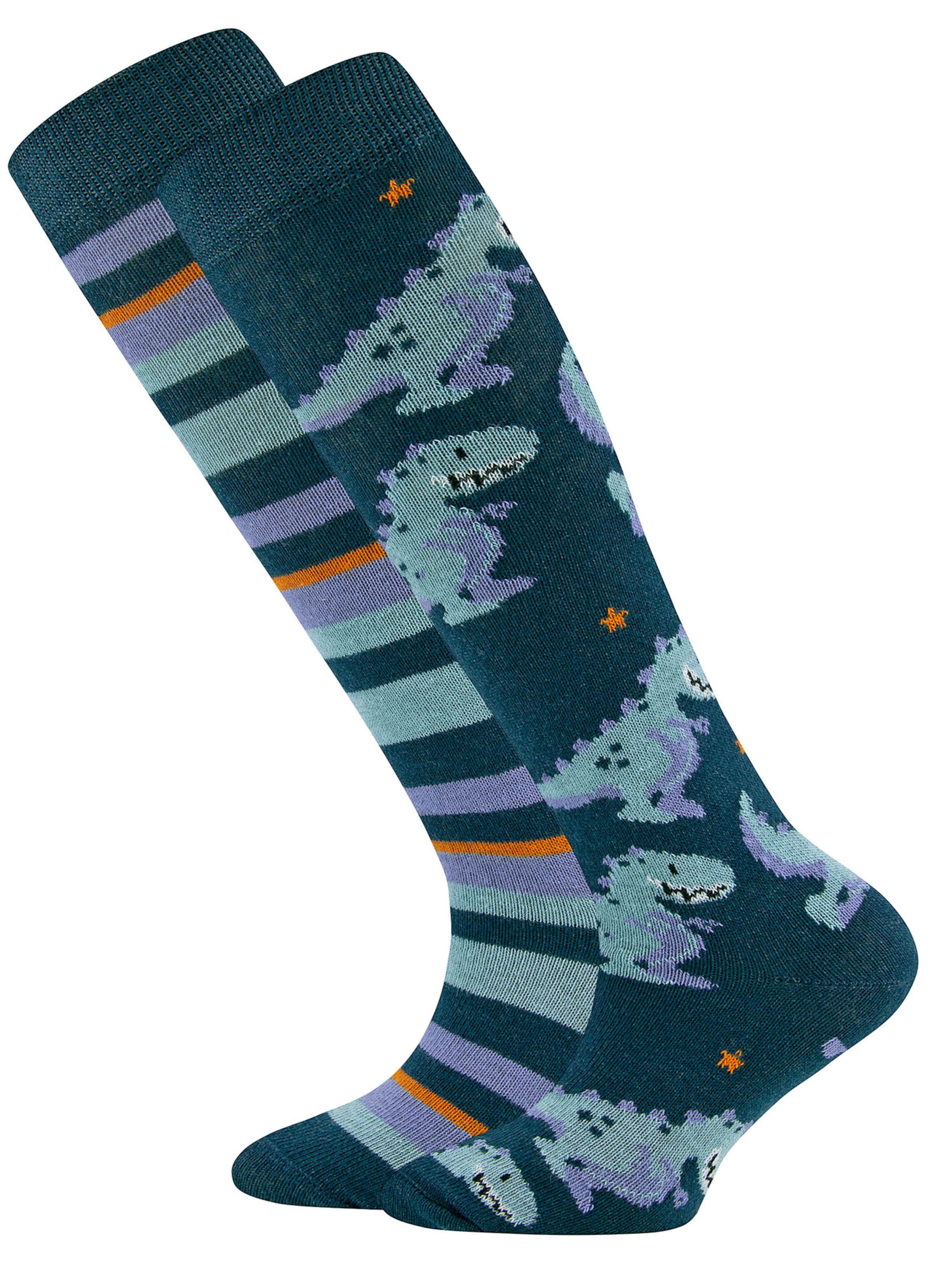 EWERS Носки в Синий: спереди