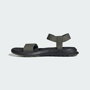 ADIDAS TERREX Sandal 'Hydroterra' in Green