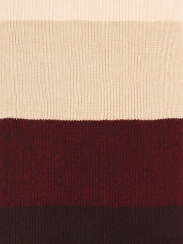 SAMAYA Scarf in Mixed colors