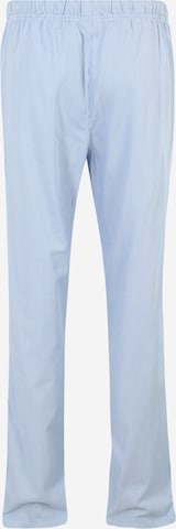 JBS OF DENMARK Pajama Pants in Blue