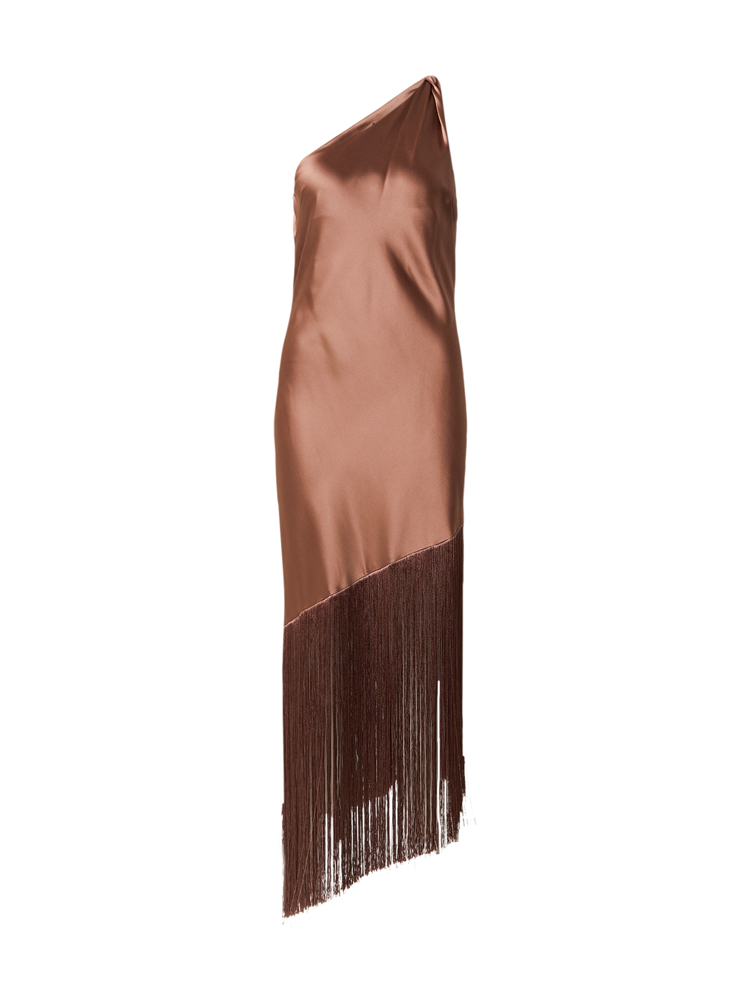 PINKO Robe 'KIWI' en marron, Vue avec produit