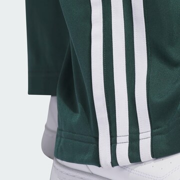 ADIDAS ORIGINALS Regular Pants 'Adicolor Classics Firebird' in Green