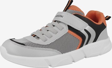 Baskets 'Aril B. A' GEOX en gris : devant