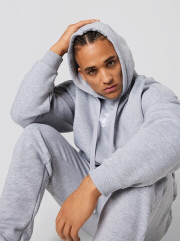 VIERVIER Hoodie 'Fine' in Grau