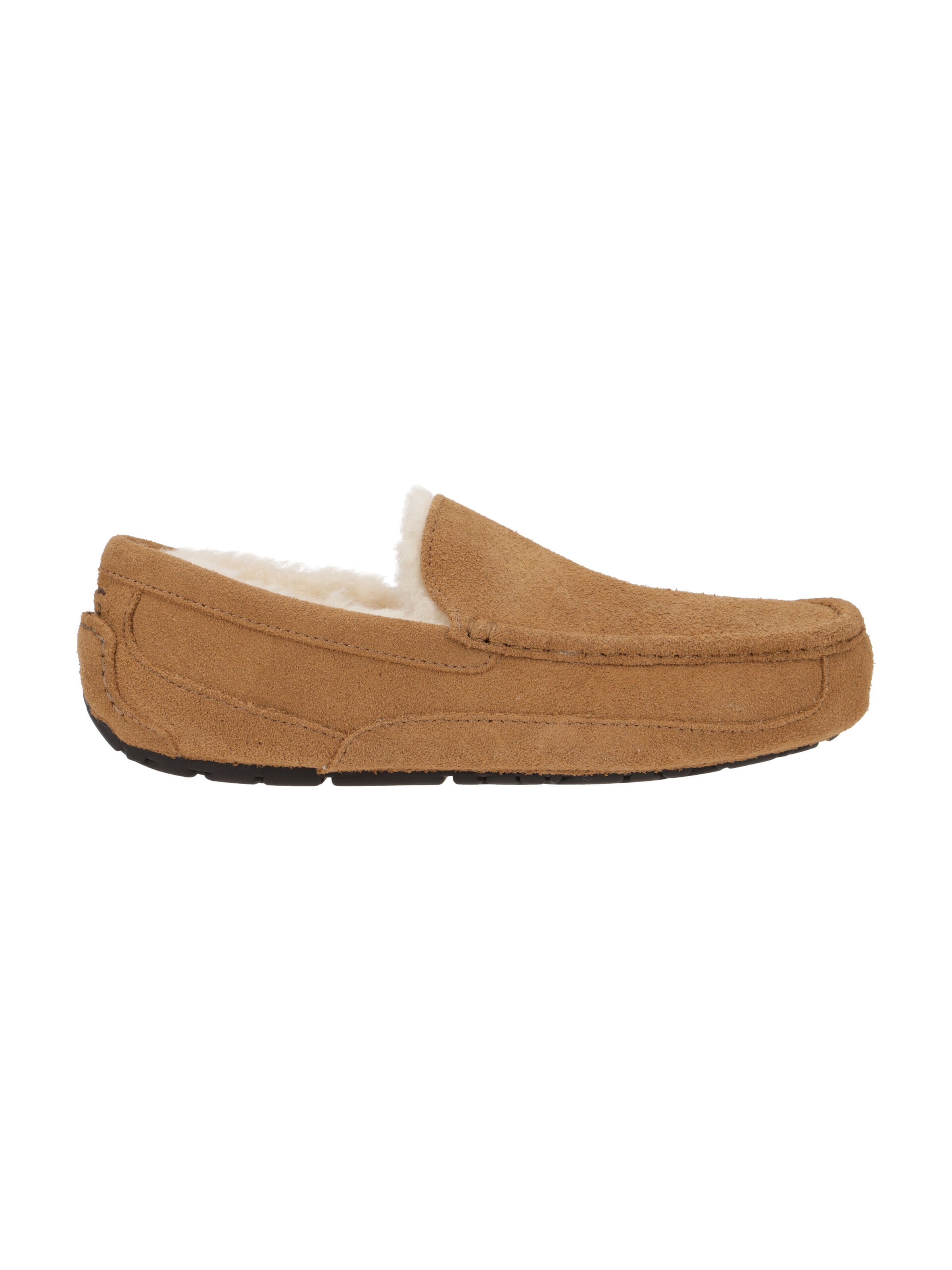 UGG Slipper 'Ascot 1101110'‌‌‌‌‌‌ in Braun