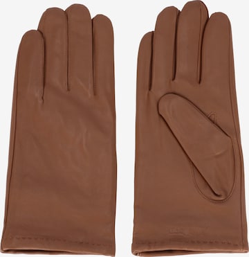 STRELLSON Full Finger Gloves in Brown: front