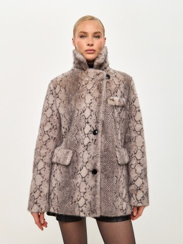 Manteau d’hiver CESARE GASPARI en gris : devant