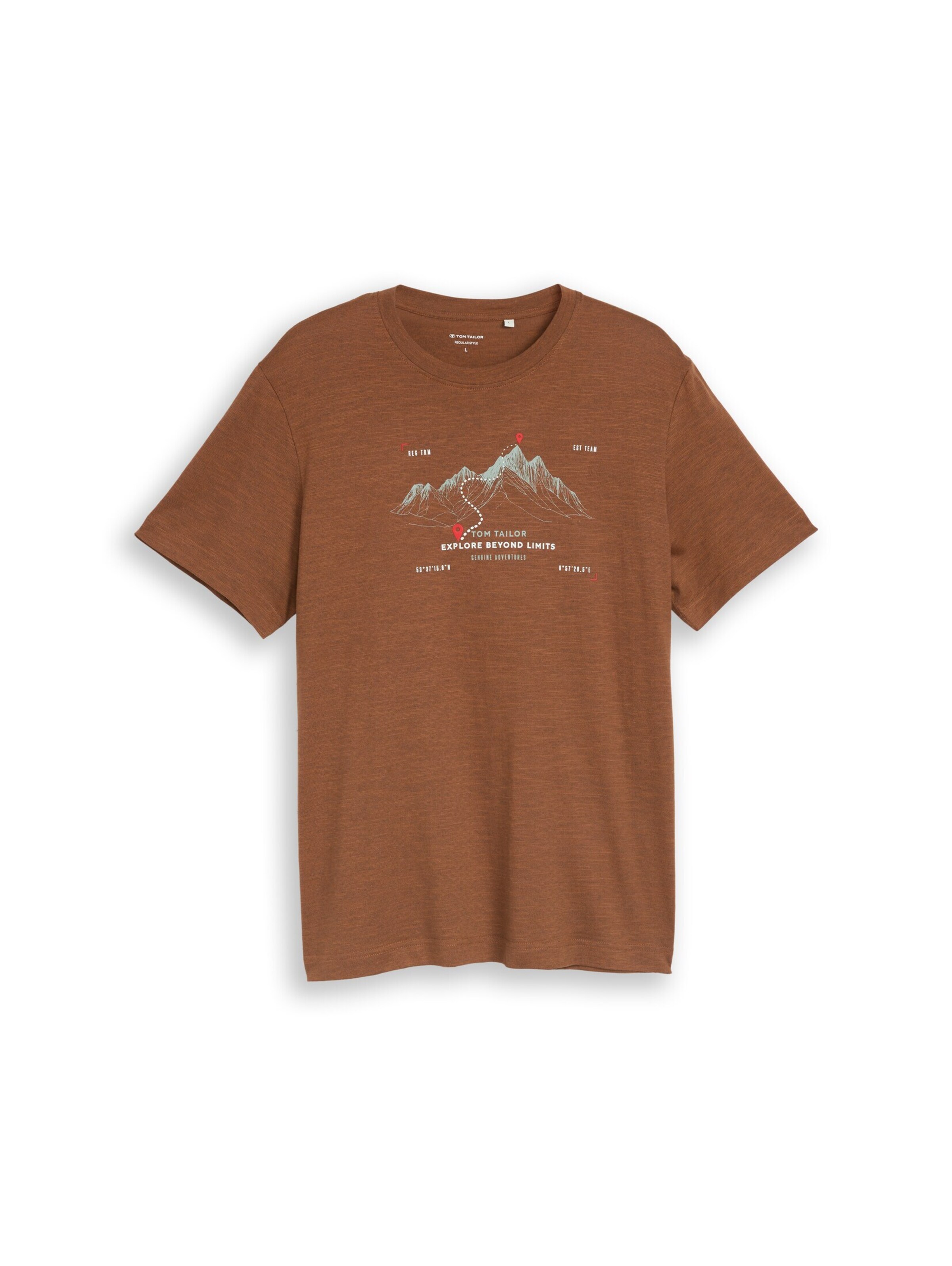 TOM TAILOR T-Shirt in Braun: Vorderseite