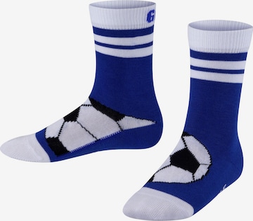 FALKE Socks 'Active Soccer' in Blue: front