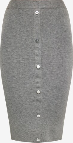 NAEMI Skirt in Grey: front