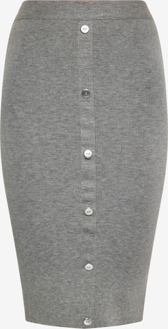 faina Skirt in Grey: front