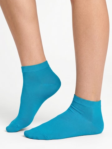 footstar Socks 'EVERYDAY!' in Blue