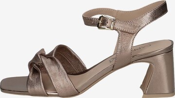 CAPRICE Sandalen met riem in Bruin