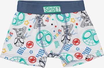 Sous-vêtements 'Spiderman' marvel en blanc : devant