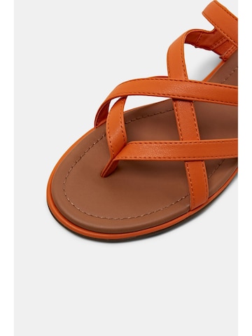 ESPRIT T-Bar Sandals in Orange