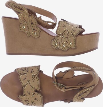 ASH Sandals & High-Heeled Sandals in 37 in Brown: front
