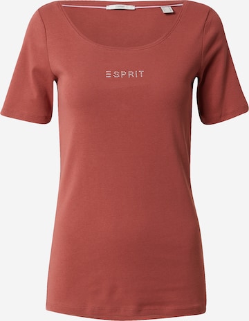ESPRIT T-Shirt in Braun: predná strana