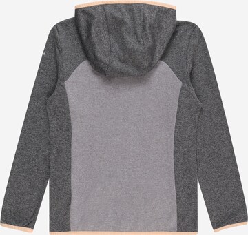 ICEPEAK Athletic Fleece Jacket 'KAMENZ' in Grey