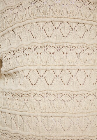 usha FESTIVAL Pullover in Beige