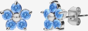 Lucardi Oorbellen in Zilver: voorkant