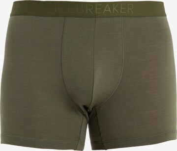 ICEBREAKER Boxer shorts 'Anatomica' in Green: front