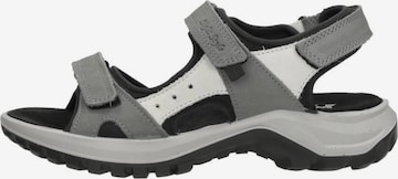 Sandales 'Sandalen Plat' IMAC en gris : devant