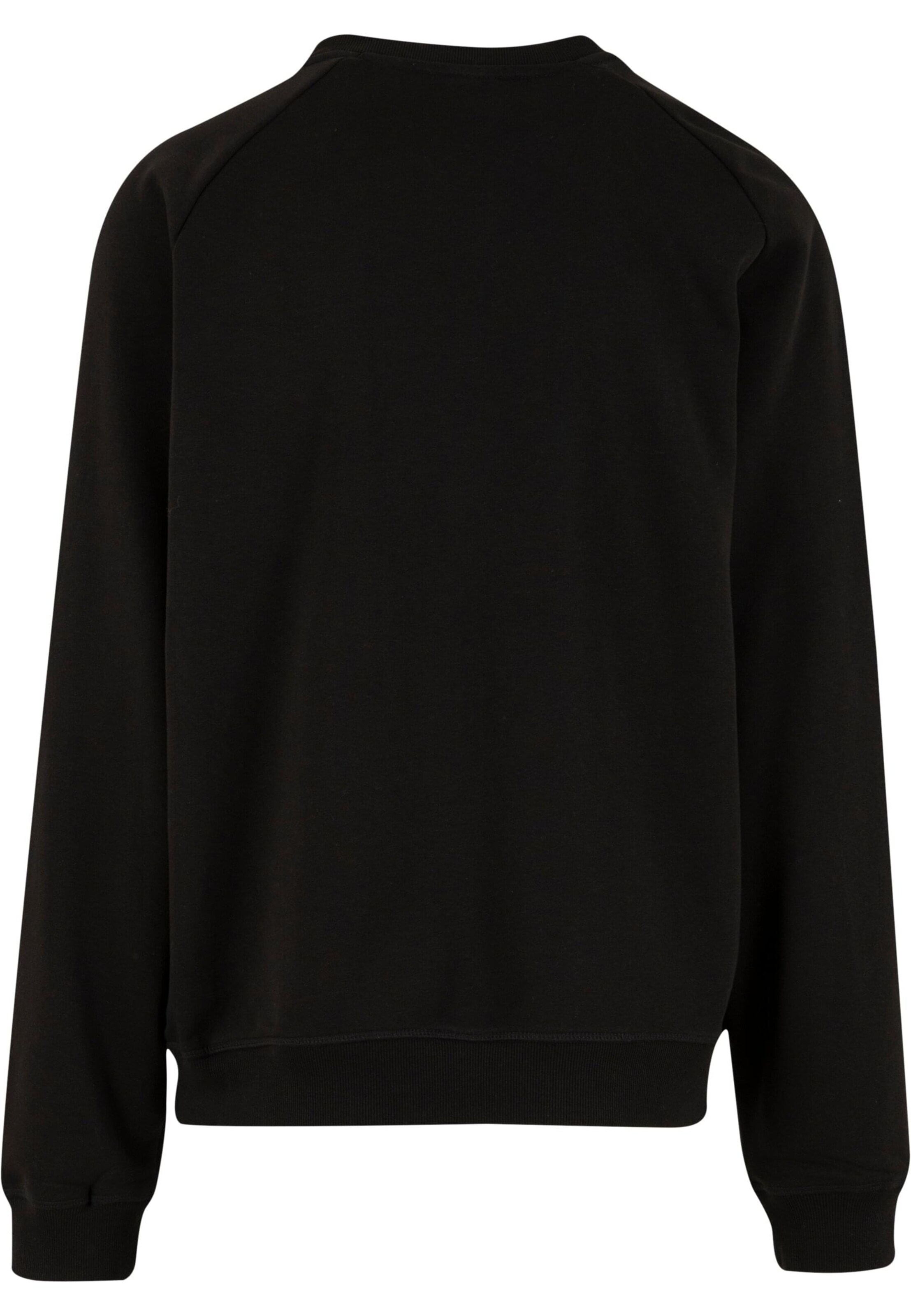 Ecko Unlimited Sweatshirt in Black