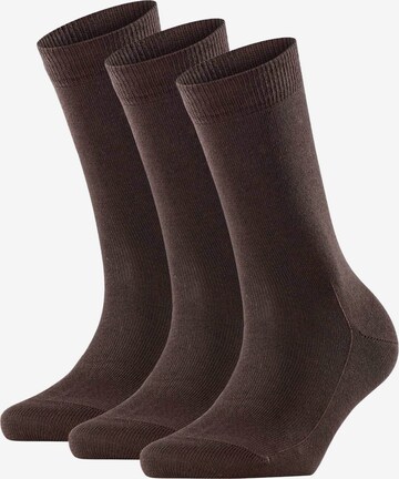 FALKE Socks in Brown: front