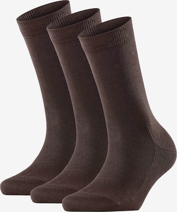 FALKE Socks in Brown: front