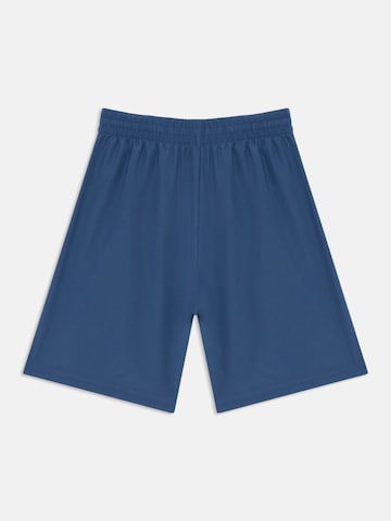 Regular Pantaloni sport de la NIKE pe albastru