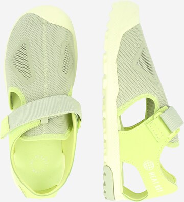 ADIDAS TERREX Sandal 'CAPTAIN TOEY' in Green