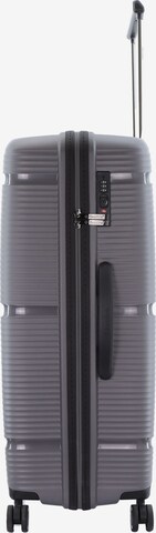 Saxoline Suitcase in Grey